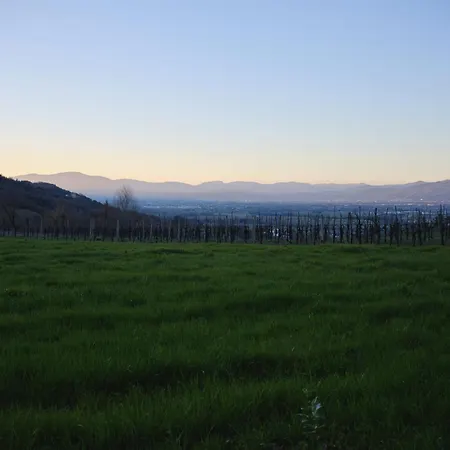 Il Giardino Sopra Le Nuvole